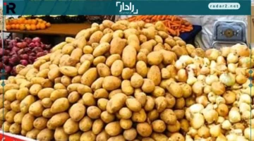 أسعار كيلو الطماطم وباقي الخضروات والفاكهة في كفر الشيخ الأربعاء 17 ديسمبر 2025